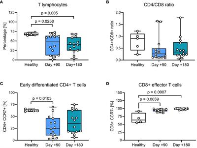 Reduced mitochondrial respiration in peripheral T cells after paediatric heamatopoietic stem cell transplantation